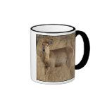 South African Impala Coffee Mug