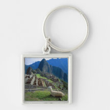 South America, Peru. A llama rests on a hill Key Chains