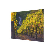 South Australia, Adelaide Hills, Summertown. 2 Canvas Print