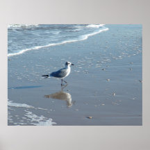 South Padre Beaches Poster