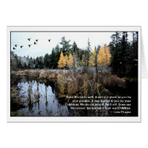 Southbound Over a Tamarack Grove Cards