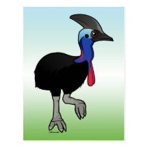 Southern Cassowary Post Card