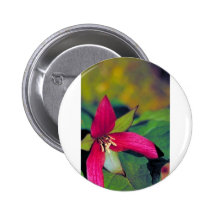 Southern red trillium pin