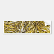 Spaghetti Seaweed Bumper Sticker