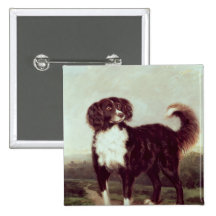 Spaniel Buttons