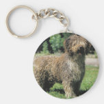 Spanish water dog keychain