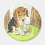 Sparky in the fishbowl refrigerator magnets