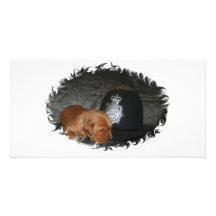 Sparky The Future "Bobby" Picture Card