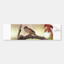 Sparrow Bird in Tree Bumper Sticker