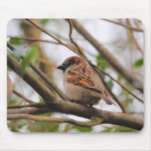 Sparrow on a Branch 3 Mousepad