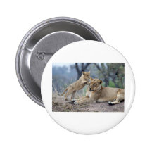 Sparta Cubs Playing Pins