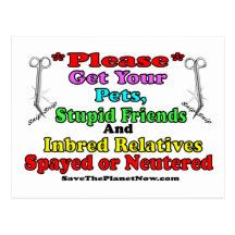 Spay or Neuter Post Cards