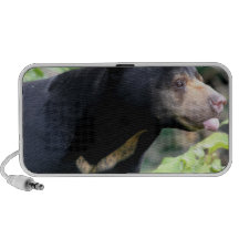 Speaker - Customised