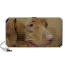 Speaker - Customised