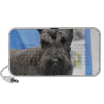 Speaker - Customised