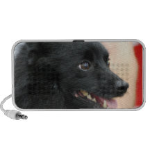 Speaker - Customised