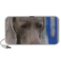 Speaker - Customized