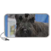 Speaker - Customized