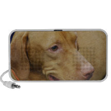 Speaker - Customized