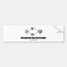 Speciation Via Polyploidy (Evolution) Bumper Stickers