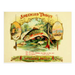 Speckled Trout Cigar Case Post Cards