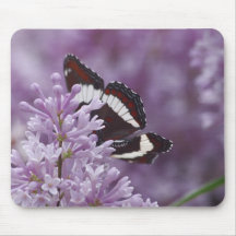 Spicebush Swallowtail Mousepad