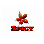 Spicy Five Habanero Hot Pepper Design Postcard