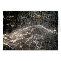 Spider Web Note Card
