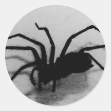 spideroo sticker