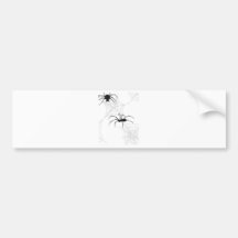Spiders Bumper Stickers