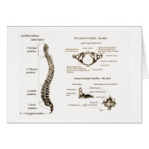 Spine Details Sepia Card