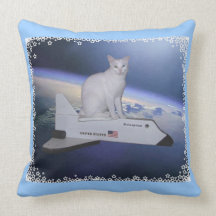 Spirit 2-faced pillow