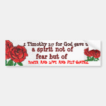 SPIRIT BUMPER STICKER