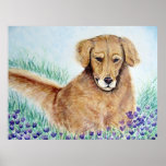 Spirit of giving -Spirit Dog Posters