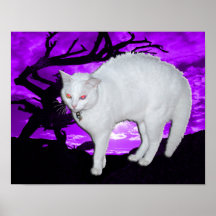 Spirit Spooked poster