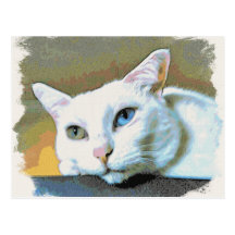 Spirit wistful postcard