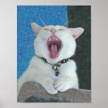 Spirit Yawns poster