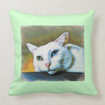 Spirit's 2-faced pillow #2