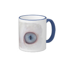 Spirit's eyes Mug
