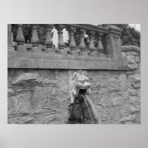 SPITTING STONE LION POSTERS