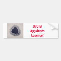 Spots-Appaloosa Essence Bumper Stickers