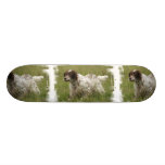 Spotted English Setter Dog Skateboard