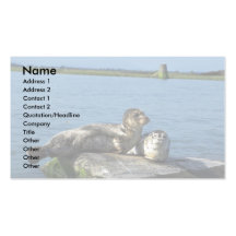 Spotted Seals Business Cards