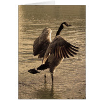 Spread Your Wings Greeting Card