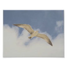 Spread Your Wings Photo Print