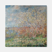 Spring, 1880-82 magnet
