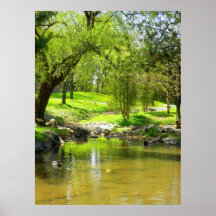 Spring at Glen Park Poster