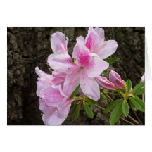 Spring Azalea blank card