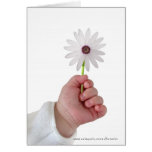Spring baby greeting card