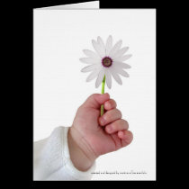 Spring baby cards